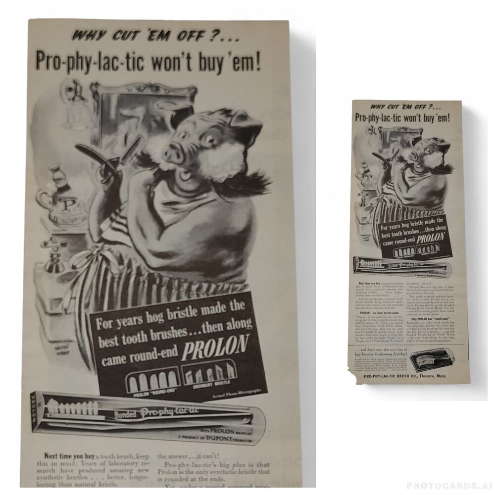 1943 Prolon Toothbrush Bristles Print Ad Hog Shaving Cartoon Pig Bathroom Humor